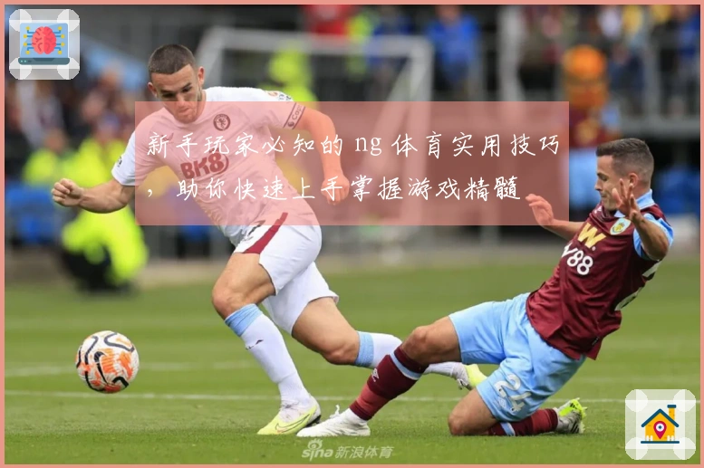 新手玩家必知的 ng 体育实用技巧，助你快速上手掌握游戏精髓