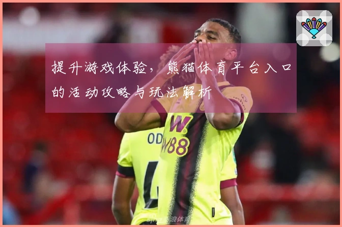 提升游戏体验，熊猫体育平台入口的活动攻略与玩法解析