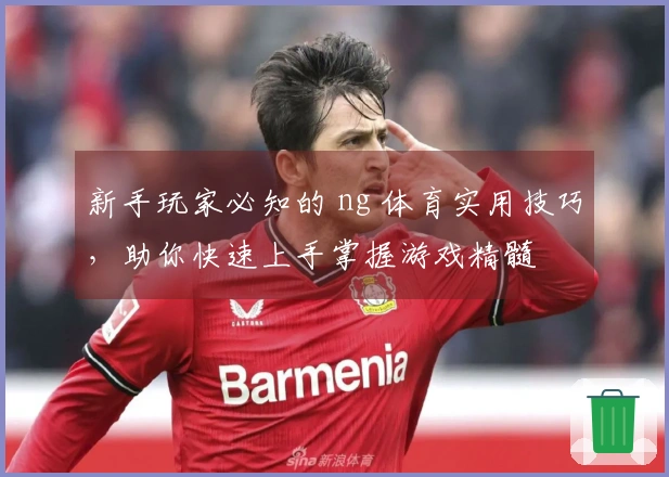 新手玩家必知的 ng 体育实用技巧，助你快速上手掌握游戏精髓